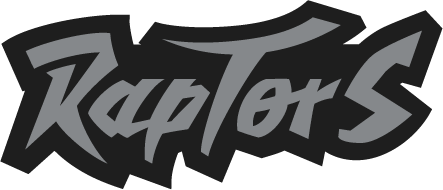 Toronto Raptors 1995-1999 Wordmark Logo iron on transfers for clothing